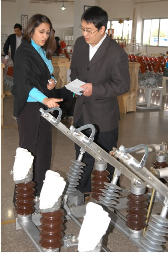 ��ʨ��������,��ʨ������������,�й���ʨ������������