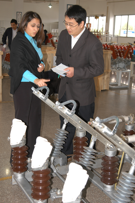 ��ʨ��������,��ʨ������������,�й���ʨ������������